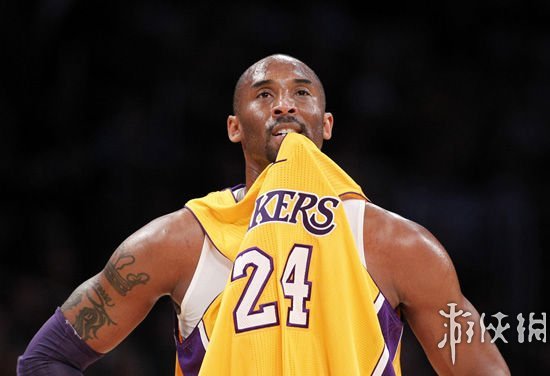 动的野辅体 动的野辅体